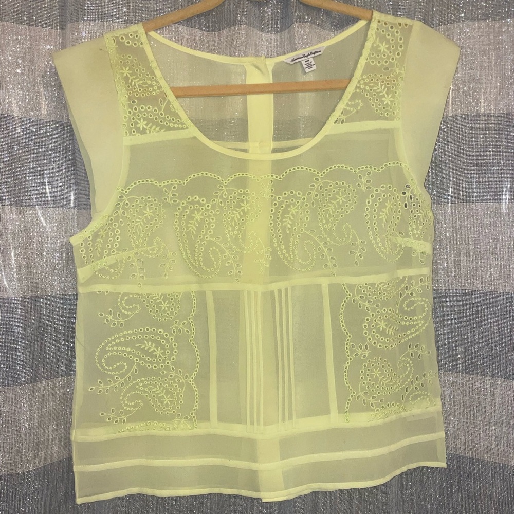 AE Unique Green Embroidered Sheer Top